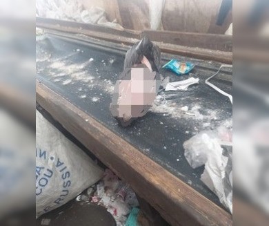 В Башкирии обнаружено тело младенца в мусоросортировочном комплексе