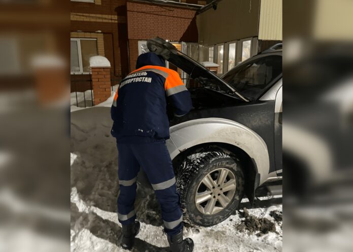 В поселке Зубово под Уфой помощь спасателей понадобилась кошке.