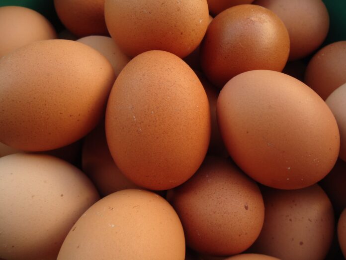 УФАС Башкирии потребовало у «Пятерочки» снизить стоимость яиц