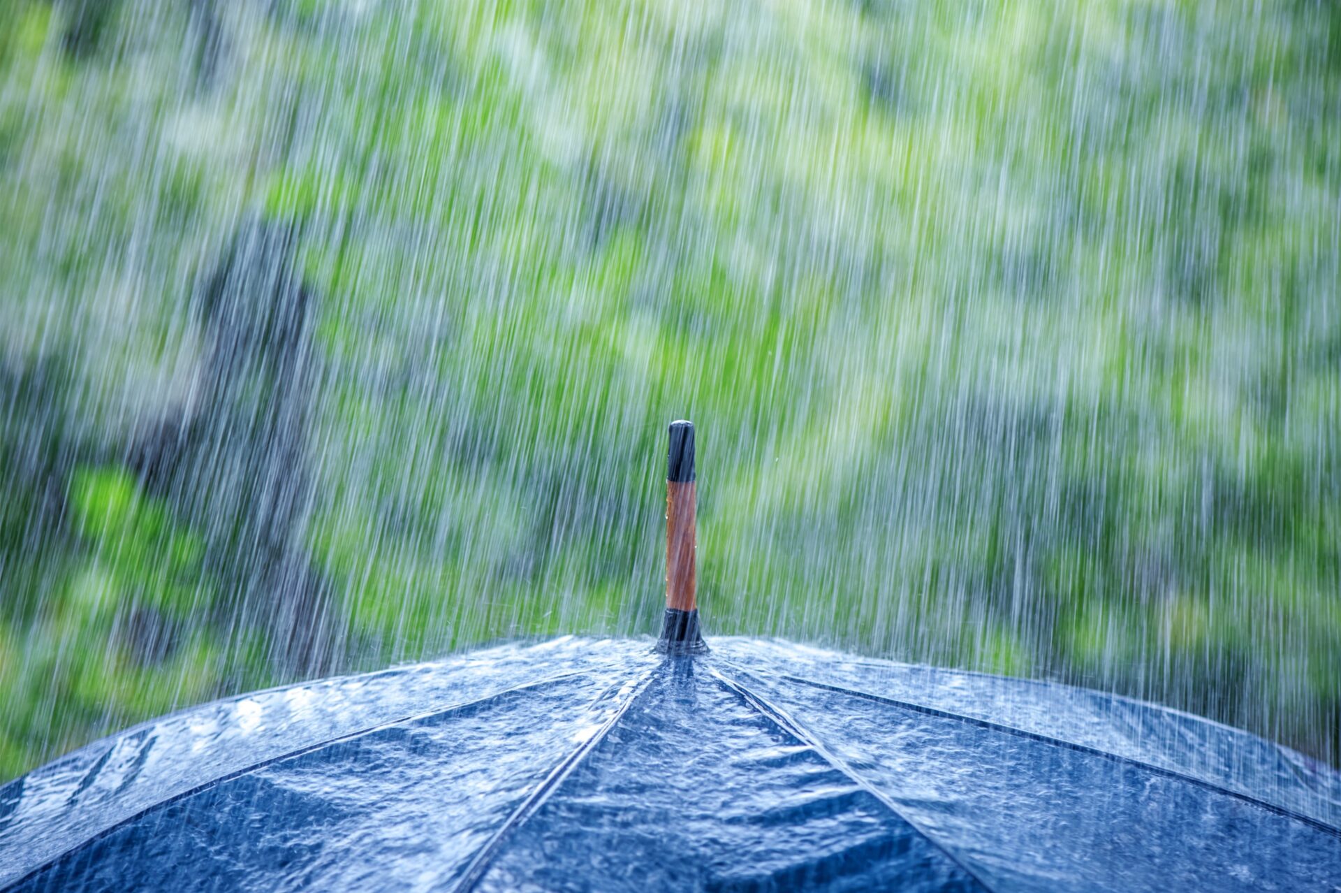 Rains one day. Дождь. Ливень. Самый сильный дождь. Дождь зонт.