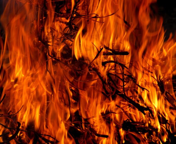 В Башкирии за сутки зафиксировали два лесных пожара