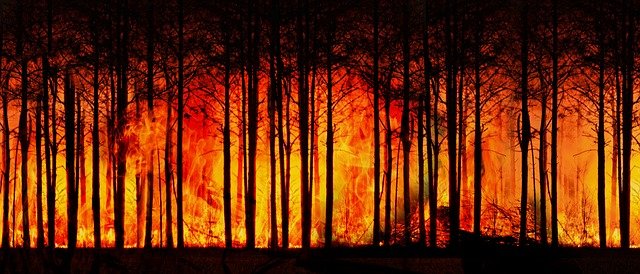 В Минлесхозе рассказали о ситуации с лесными пожарами в Башкирии
