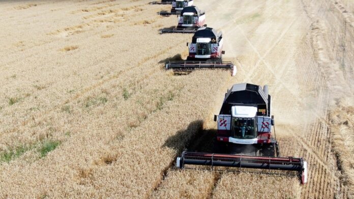 В Башкирии впервые за 36 лет собрали 5 млн тонн зерновых