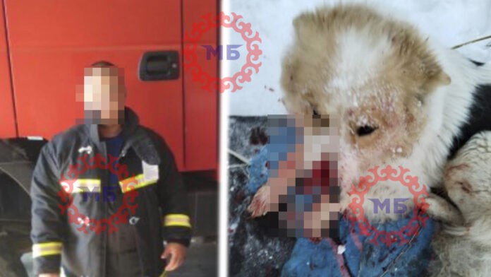 Жители Башкирии затравили семью с детьми, подозревая главу семейства в нападении на собаку