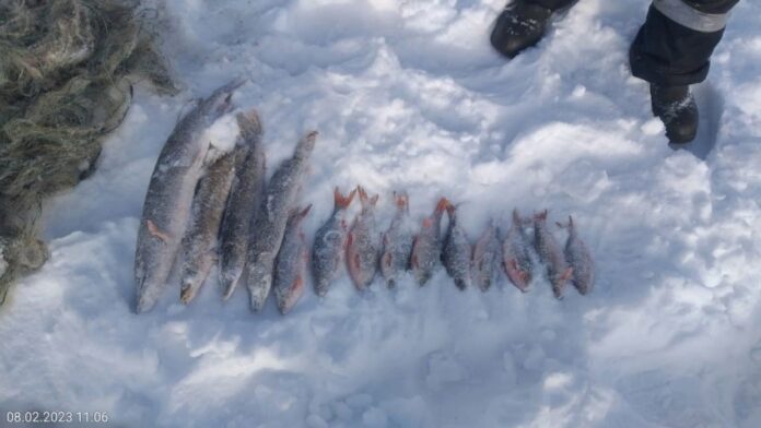 В Башкирии в парке Кандрыкуль задержали браконьера с 8 кг рыбы