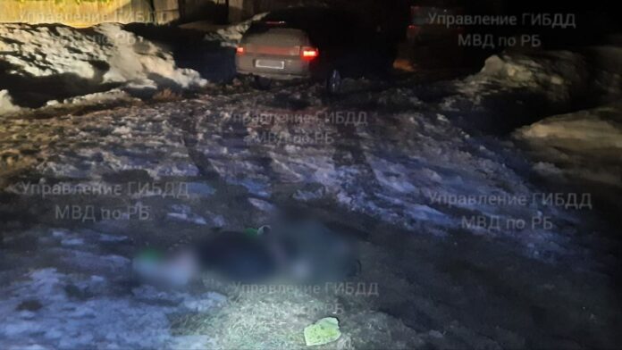 В Башкирии водитель «двенашки» сбил насмерть собственного пассажира