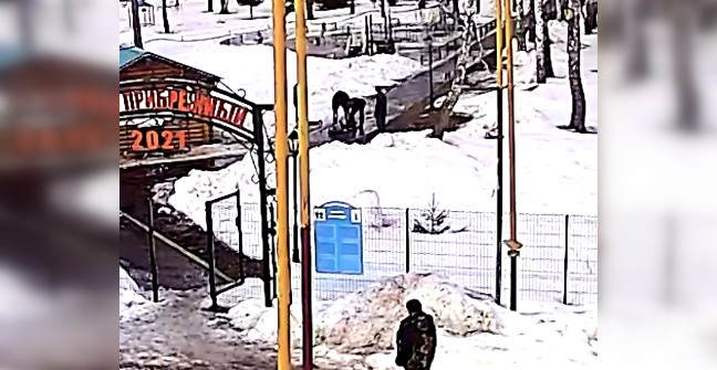 В Караидели в парке найден мертвым мужчина