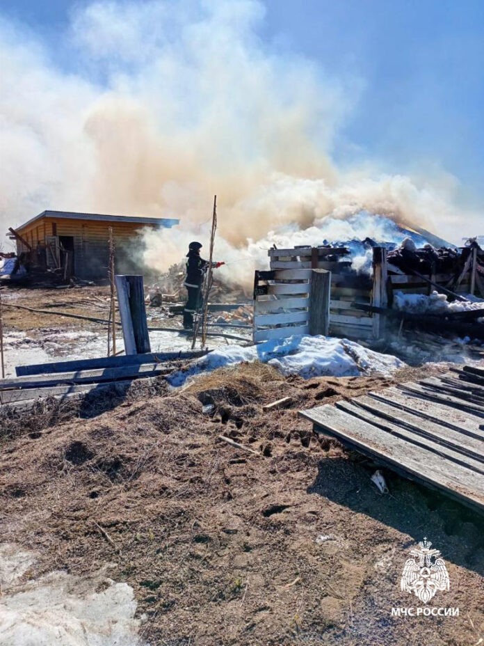 В Башкирии у семьи с 17 детьми сгорели четыре авто и три хозпостройки