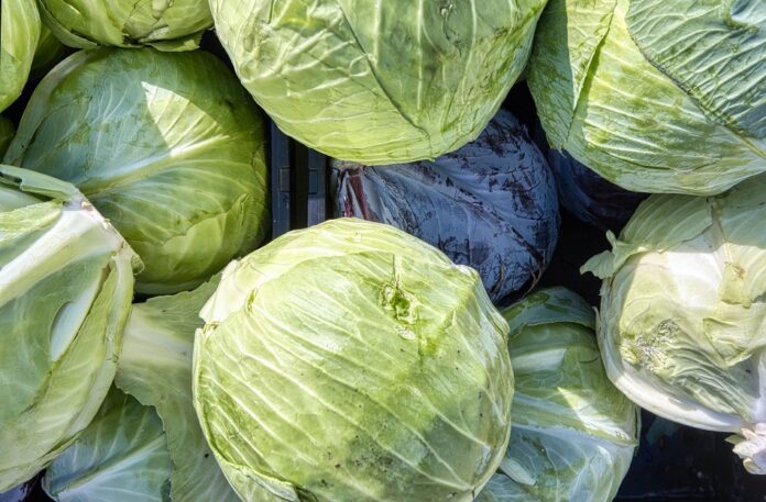 В Башкирии цены на капусту выросли в 2,2 раза