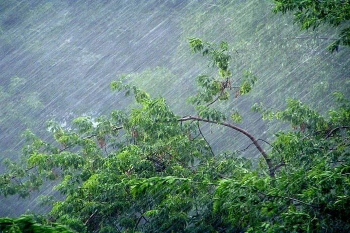 В Башкирии 30 июля прогнозируют ураган