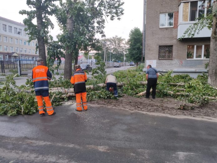 В Уфе шквалистый ветер за два часа повалил 85 деревьев