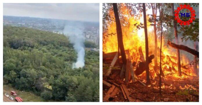 В МЧС прокомментировали пожар в Кошкином лесу в Уфе