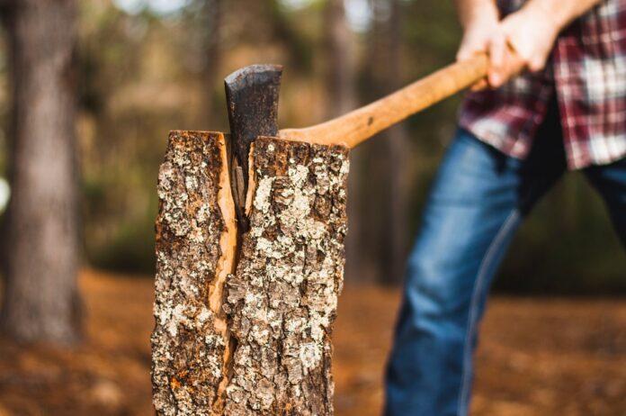 Уролог Смерницкий заявил, что рубка дров повышает уровень тестостерона на 48%