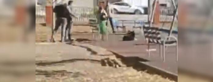 Жители Башкирии сняли на видео, как живодер выстрелил в собаку рядом с ребенком