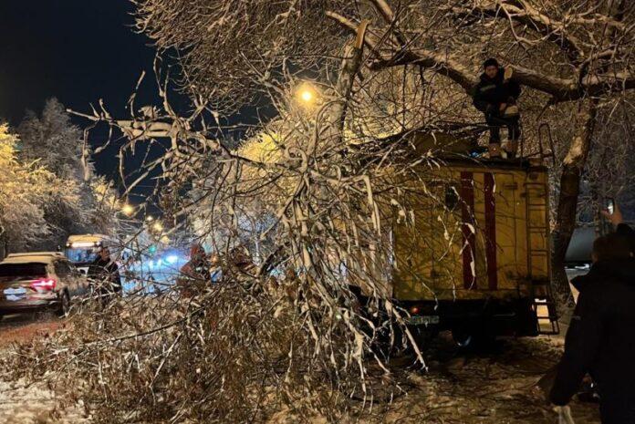 В Уфе ночью горожане сообщили о 15 падениях деревьев