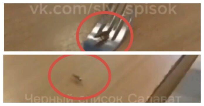 В Башкирии студенты колледжа засняли тараканов в столовой
