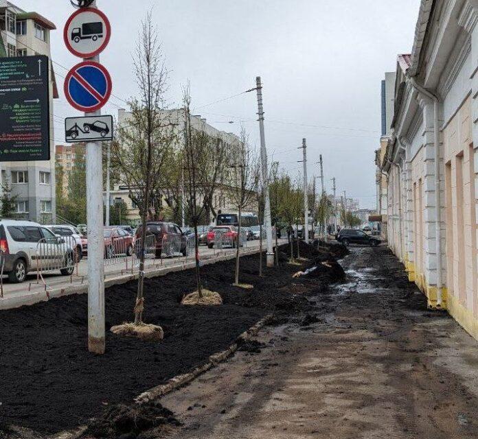«То ли грязь, то ли благоустройство»: уфимцы ужаснулись состоянием тротуара после высадки деревьев