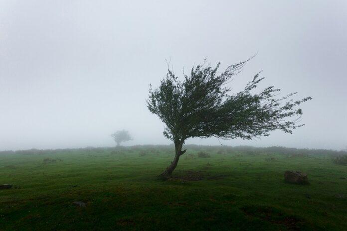 Шквалистый ветер до 20 метров в секунду ожидается в Башкирии