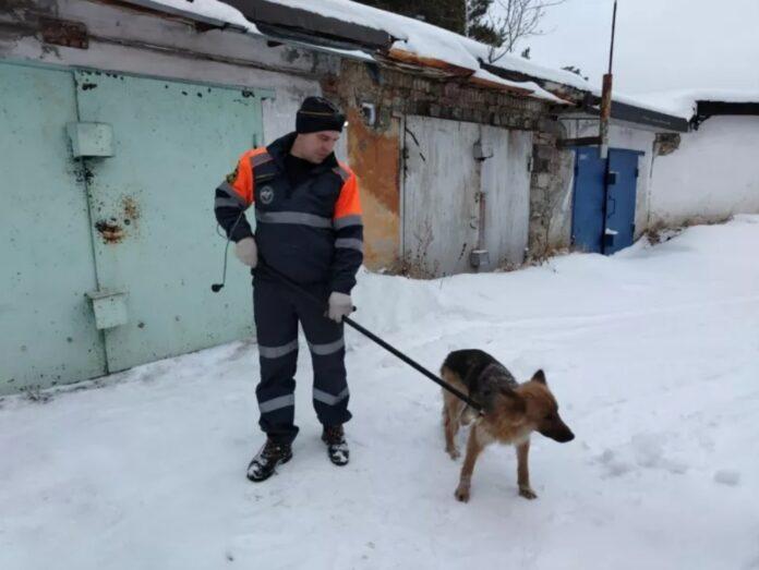 В Белорецке спасатели пришли на помощь собаке