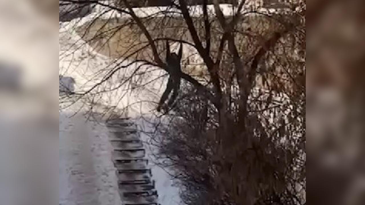 Порно Телеграмм Подростков Парней