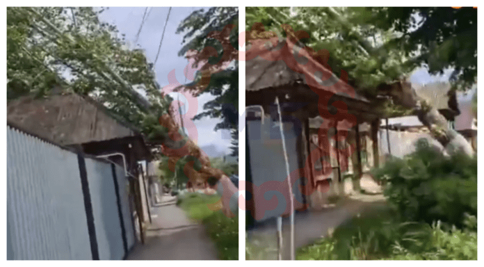 В Уфе дерево рухнуло на частный дом и зацепило провода